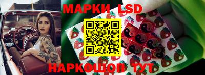 ПСИЛОЦИБИНОВЫЕ ГРИБЫ Обнинск