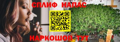 apvp Нягань