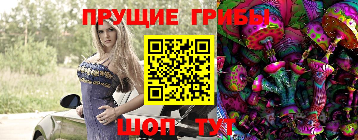 Советск  Галлюциногенные грибы Cubensis  Вход с VPN 