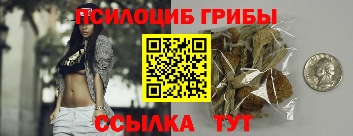 Псилоцибиновые грибы Magic Shrooms Советск